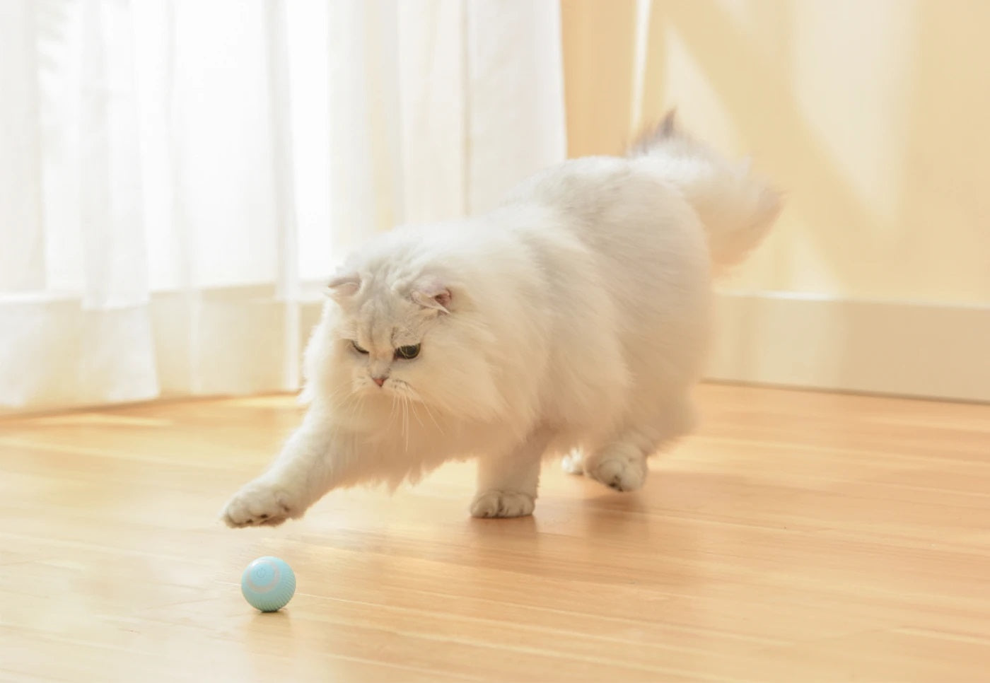 LED Smart Ball