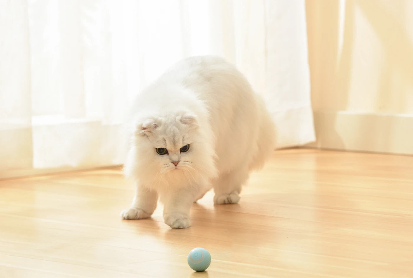 LED Smart Ball