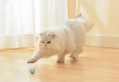 LED Smart Ball