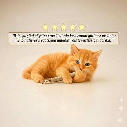 KediCrax Doğal Çiğneme Çubuğu