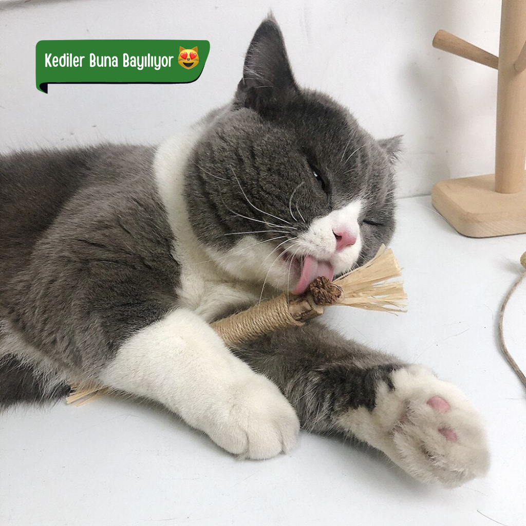 KediCrax Doğal Çiğneme Çubuğu